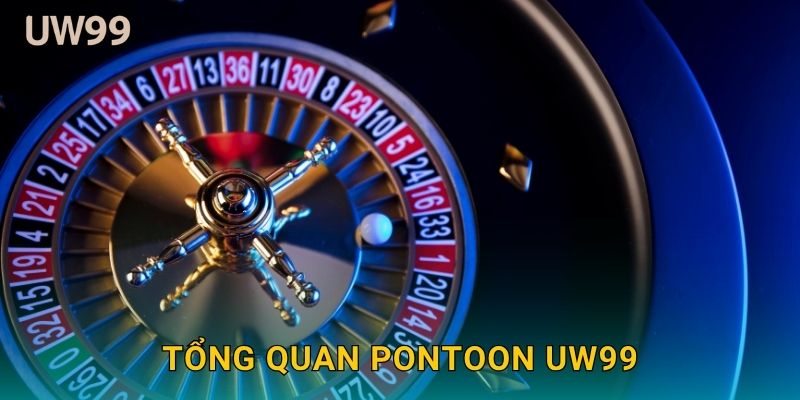 Tổng quan Pontoon uw99