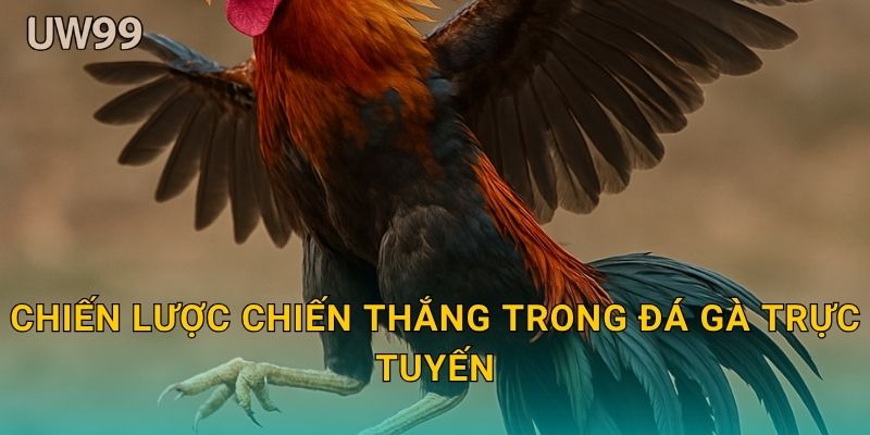 Chiến lược chiến thắng trong Đá gà trực tuyến