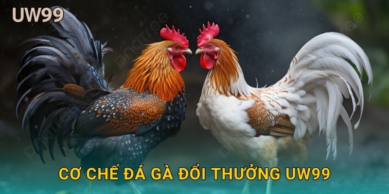 Cơ chế Đá gà đổi thưởng uw99