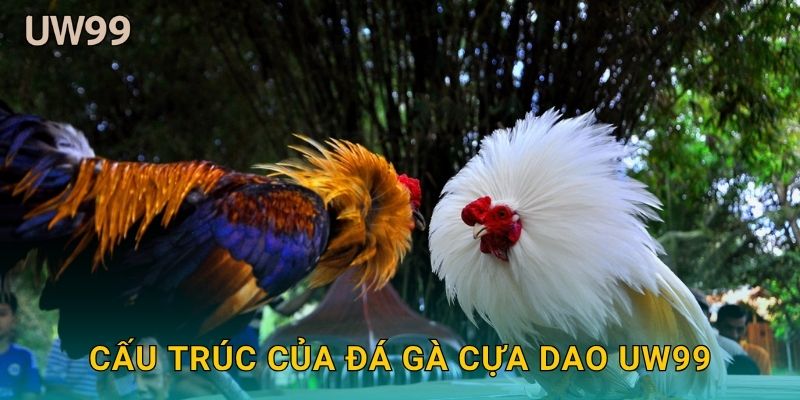 Cấu trúc của Đá gà cựa dao uw99