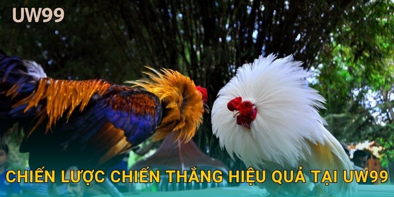 Chiến lược chiến thắng hiệu quả tại uw99