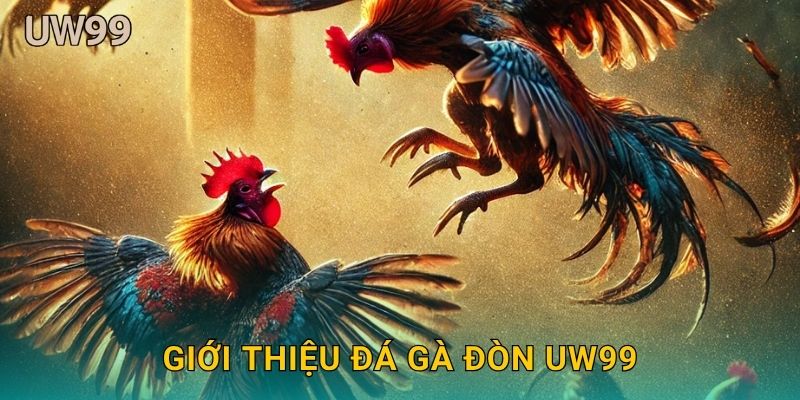 Giới thiệu Đá gà đòn uw99