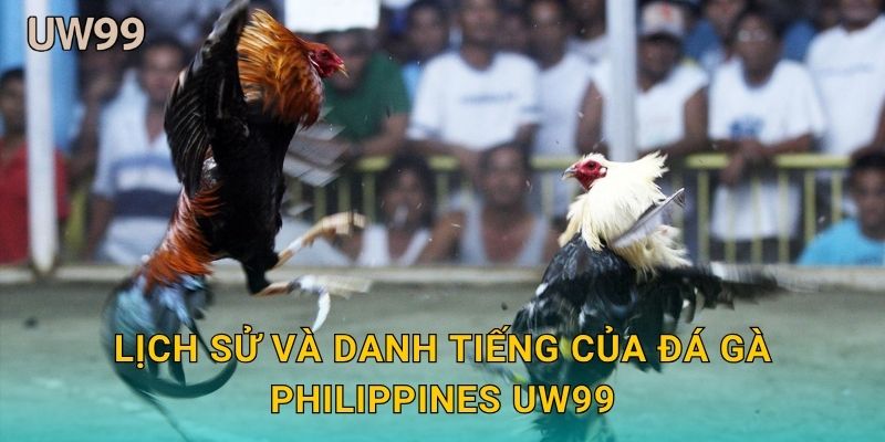 Lịch sử và danh tiếng của Đá gà Philippines uw99